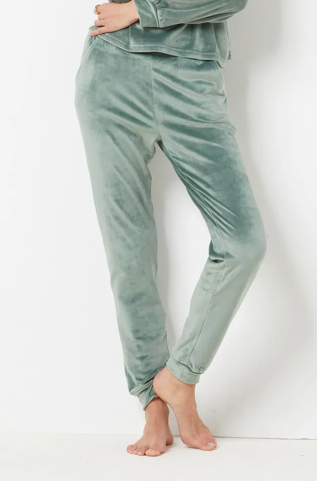 Velvet pants 6541170